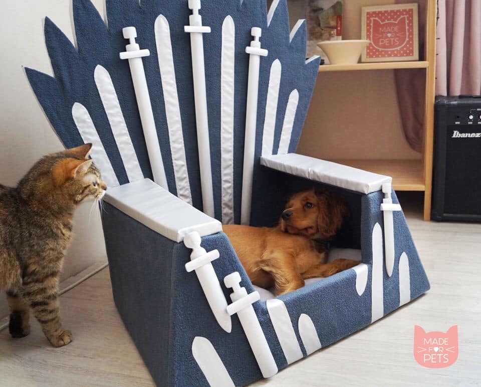 "Железный трон для животных". Как украинка покоряет владельцев собак и котов всего мира