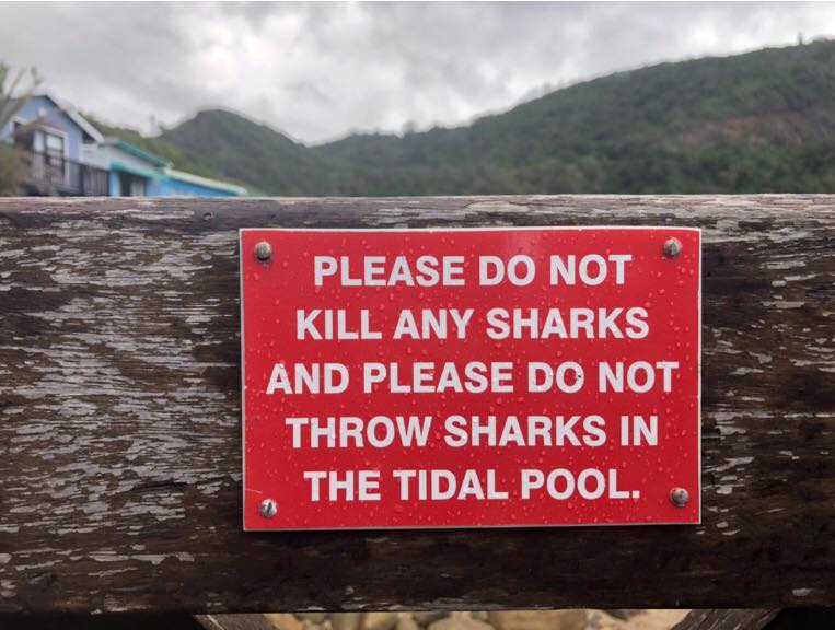 Серфинг в Южной Африке: Прощание со страхами