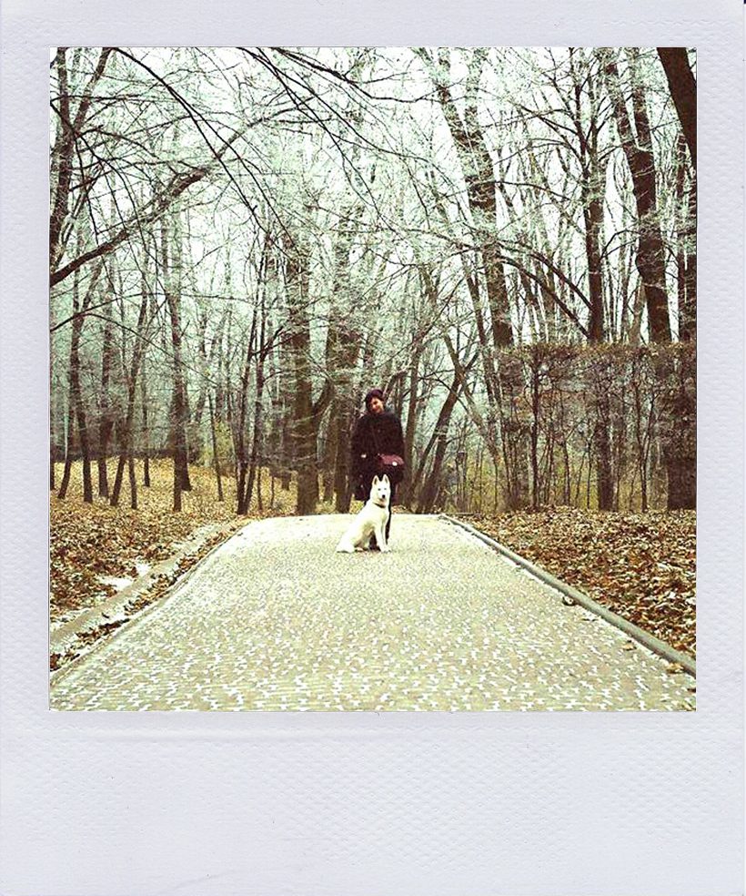 У пошуках свята