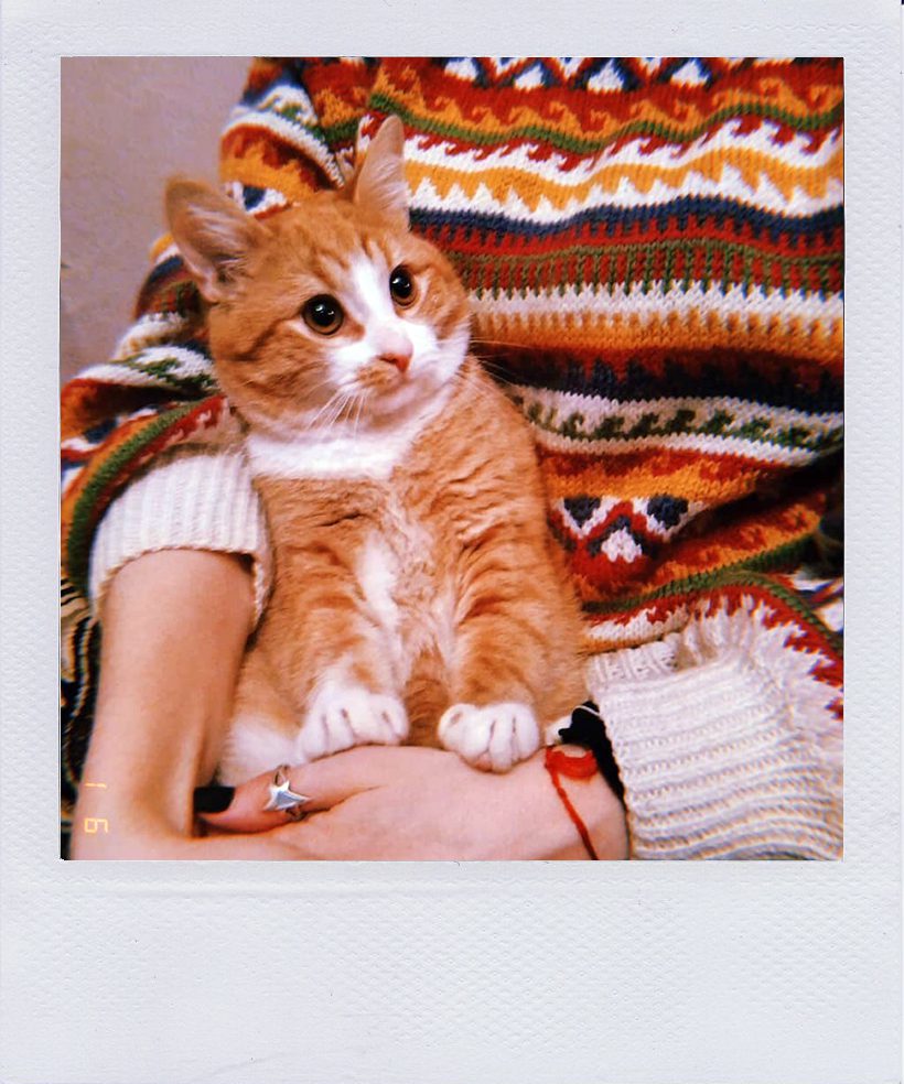 У пошуках свята