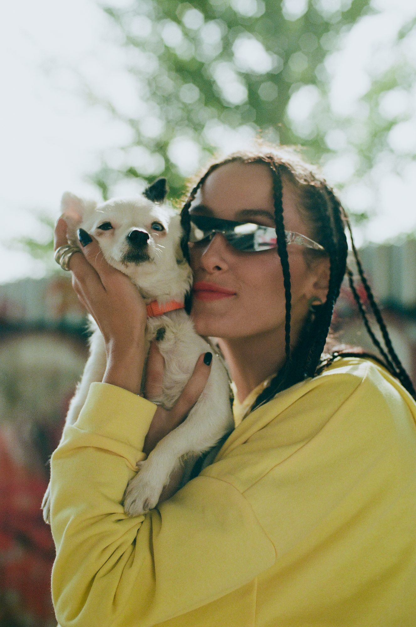 Ми з однієї зграї. Alyona Alyona, Alina Pash та СТАСІК закликають обирати безпородних тварин