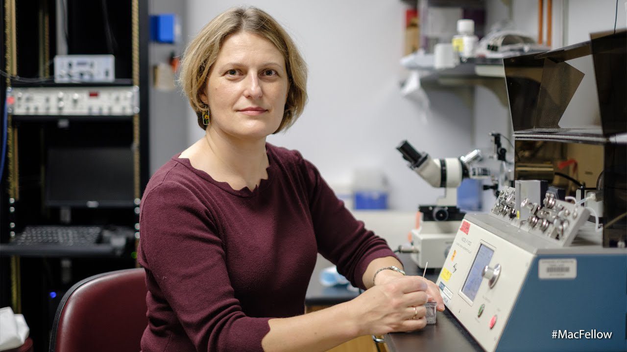 Вісник сексизму Vol. 50: Сумний день для жінок