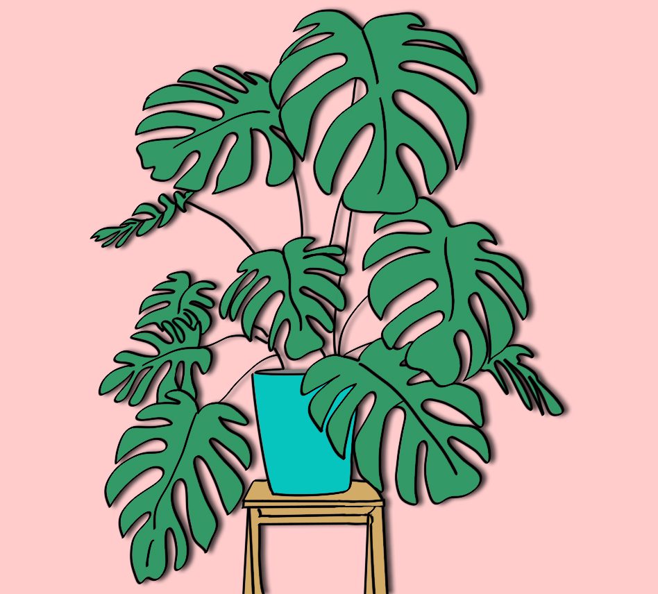 Подарунки в стилі локдауну. Що покласти під ялинку для подруги