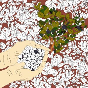 Карпатський календар 14 Карпатський календар