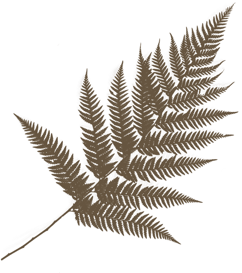 Карпатський календар