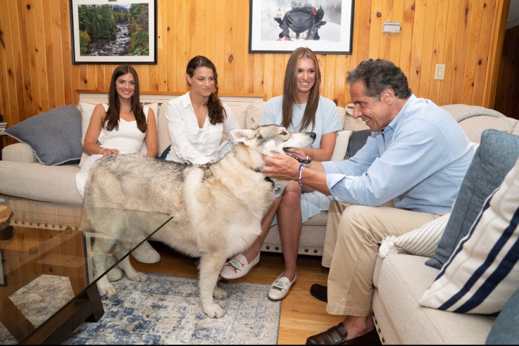 Вісник сексизму vol. 58: Біль і розпач афганських жінок