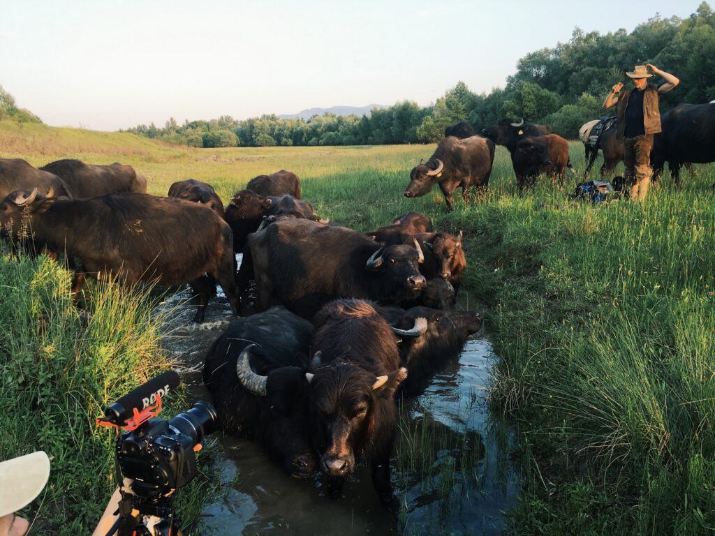 Режисерка Ганна Ярошевич: Документалістика — це такий собі мікс художнього кіно та журналістики