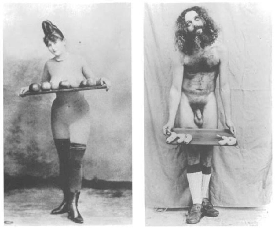 Їжа. Мистецтво. Фемінізм. Що гастрономічні сюжети розповідають про нерівність, жіночність, війну та секс